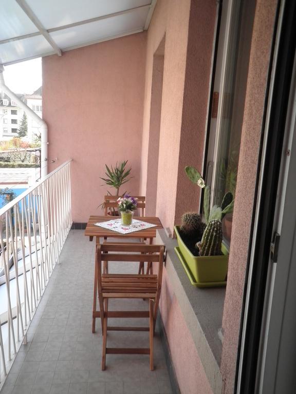 Logis Le 18 Rose Apartment Strasbourg Luaran gambar
